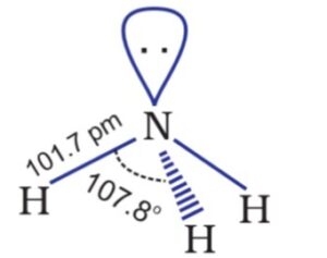 Structure of Ammonia 