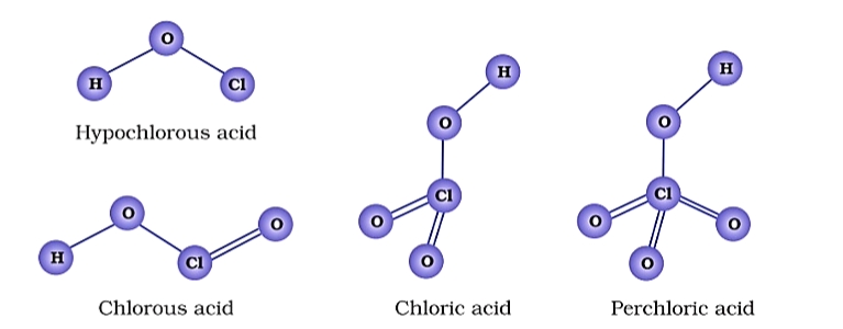 P- block elements for class 12th: oxaacids of halogens 