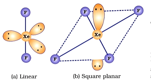 Structure of noble gases compounds 