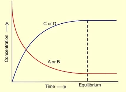 Chemical Equilibrium Notes: Short and Easy