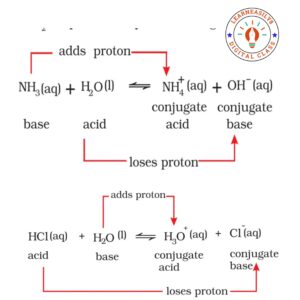 Ionic Equilibrium: short and easy notes for class 11th