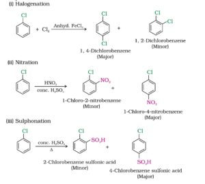 Haloalkane and Haloarene: Short and Easy notes for Class 12th