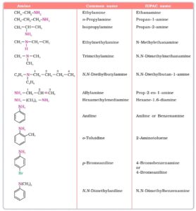 Amines of 12th: Short and Easy Notes for Amines