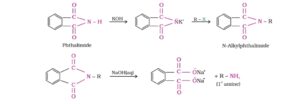 Amines of 12th: Short and Easy Notes for Amines 