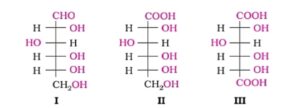 Biomolecules Class 12th: Short and Simple Notes of NCERT 