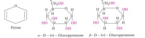 Biomolecules Class 12th: Short and Simple Notes of NCERT 