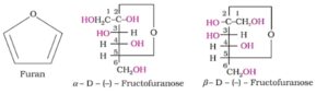 Biomolecules Class 12th: Short and Simple Notes of NCERT 