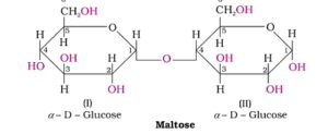 Biomolecules Class 12th: Short and Simple Notes of NCERT 