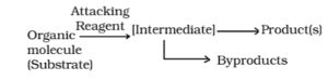 Types of Organic Reactions: Short and Easy Notes for Class 11th 