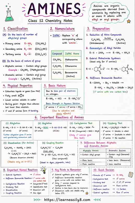 Amines of 12th: Short and Easy Notes for Quick Revision