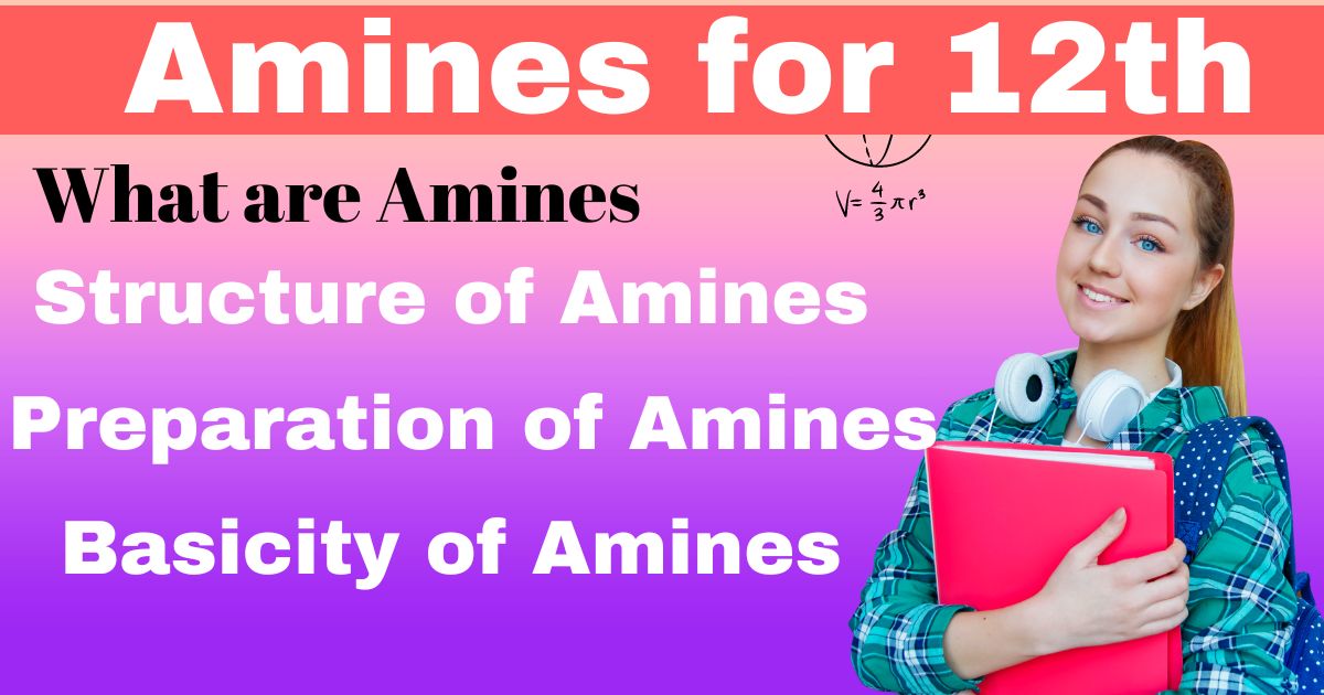 Amines of 12th: Short and Easy Notes for Amines