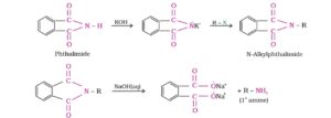 All Important Named Reactions: Organic Chemistry Free Pdf Download