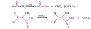 All Important Named Reactions: Organic Chemistry Free Pdf Download