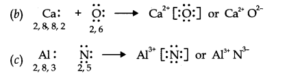 Chemical Bonding Class 11 NCERT Solution: Free PDF Download for 2025