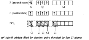 Chemical Bonding Class 11 NCERT Solution: Free PDF Download for 2025