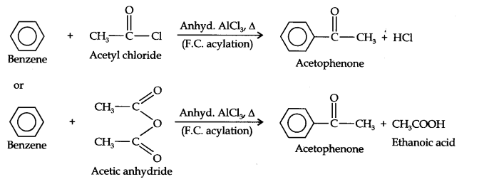 Ncert Solution of Hydrocarbons: Class 11th Free Pdf Download 