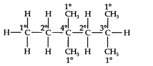 Ncert Solution of Hydrocarbons: Class 11th Free Pdf Download 