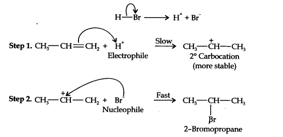 Ncert Solution of Hydrocarbons: Class 11th Free Pdf Download 