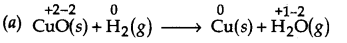 Ncert Solution of Redox Reactions: Class 11 Free Pdf Download 