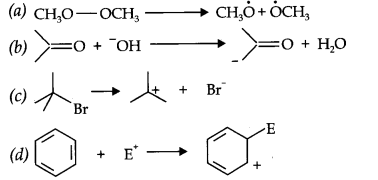 Ncert Solution of Organic Chemistry: Class 11, Some Basic Principles and Techniques, Free Download Pdf 