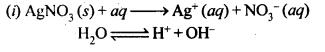 Ncert Solution of Electrochemistry: For Class 12th, Free Pdf Download 