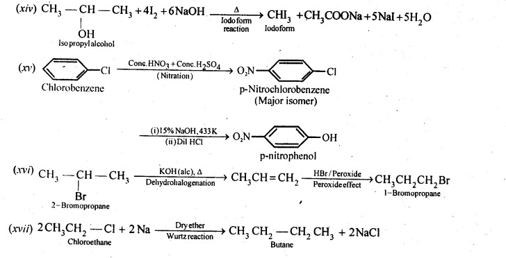 Ncert Solution Of Haloalkane and Haloarene: Free Pdf Download For Class 12th 