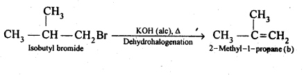 Ncert Solution Of Haloalkane and Haloarene: Free Pdf Download For Class 12th 