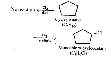 Ncert Solution Of Haloalkane and Haloarene: Free Pdf Download For Class 12th 