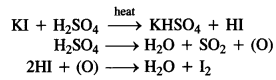 Ncert Solution Of Haloalkane and Haloarene: Free Pdf Download For Class 12th 