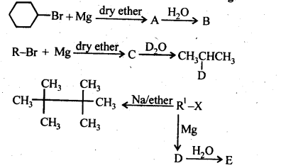 Ncert Solution Of Haloalkane and Haloarene: Free Pdf Download For Class 12th 