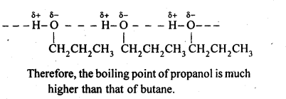 Ncert Solution Alcohol Phenol Ether: Free Pdf Download 