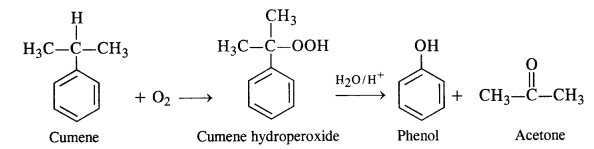 Ncert Solution Alcohol Phenol Ether: Free Pdf Download 