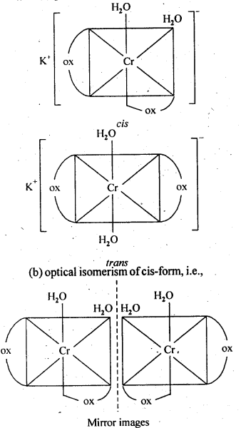 Ncert solution of Coordination compounds: Class 12th, Free Pdf download 