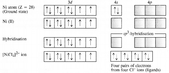 Ncert solution of Coordination compounds: Class 12th, Free Pdf download 