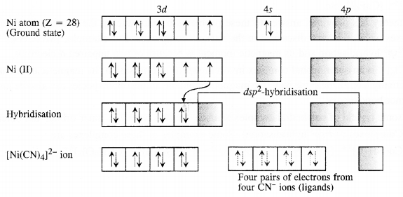 Ncert solution of Coordination compounds: Class 12th, Free Pdf download 