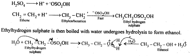 Ncert Solution Alcohol Phenol Ether: Free Pdf Download 