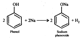 Ncert Solution Alcohol Phenol Ether: Free Pdf Download 