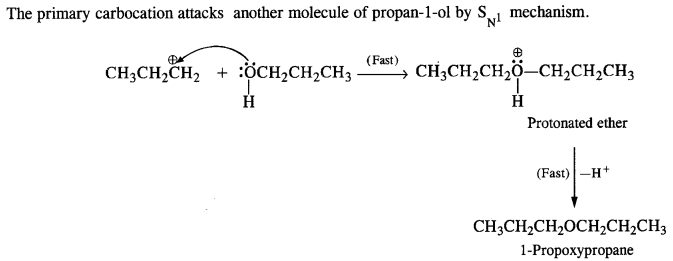 Ncert Solution Alcohol Phenol Ether: Free Pdf Download 