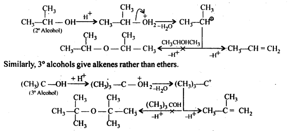 Ncert Solution Alcohol Phenol Ether: Free Pdf Download 