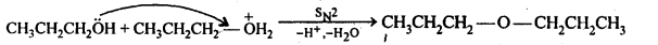 Ncert Solution Alcohol Phenol Ether: Free Pdf Download 