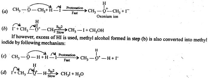 Ncert Solution Alcohol Phenol Ether: Free Pdf Download 