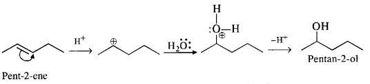 Ncert Solution Alcohol Phenol Ether: Free Pdf Download 