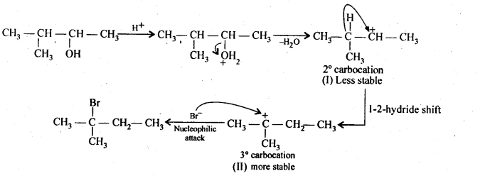 Ncert Solution Alcohol Phenol Ether: Free Pdf Download 