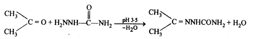 Aldehydes Ketones Carboxylic acids: Ncert Solution Free Pdf Download For 12th 