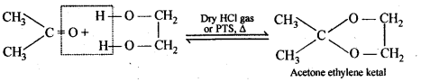 Aldehydes Ketones Carboxylic acids: Ncert Solution Free Pdf Download For 12th 