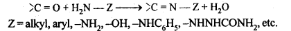 Aldehydes Ketones Carboxylic acids: Ncert Solution Free Pdf Download For 12th 