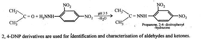 Aldehydes Ketones Carboxylic acids: Ncert Solution Free Pdf Download For 12th 