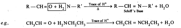 Aldehydes Ketones Carboxylic acids: Ncert Solution Free Pdf Download For 12th 