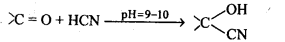 Aldehydes Ketones Carboxylic acids: Ncert Solution Free Pdf Download For 12th 