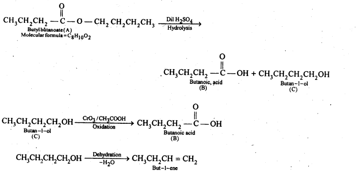 Aldehydes Ketones Carboxylic acids: Ncert Solution Free Pdf Download For 12th 